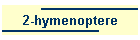 2-hymenoptere