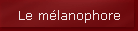 Le m�lanophore