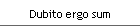 Dubito ergo sum